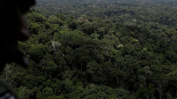 Brazil deforestation exceeds 88% in June under Bolsonaro
