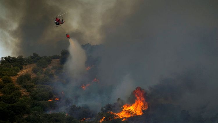 الصندوق العالمي للحياة البرية يحذر من تفاقم "الحرائق الهائلة" في أنحاء أوروبا