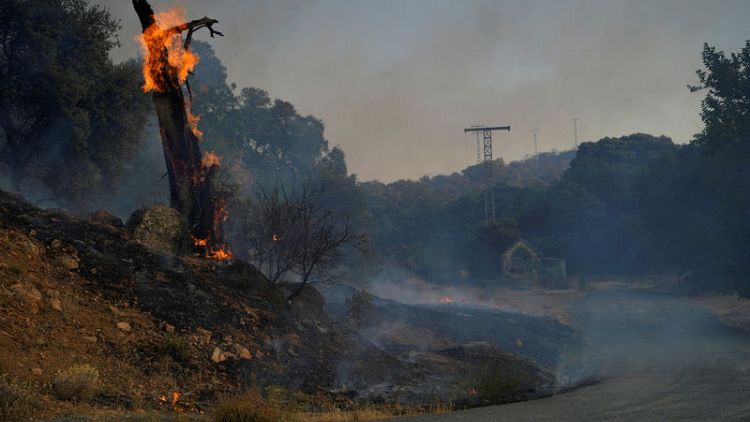 WWF warns of worsening 'superfires' across Europe