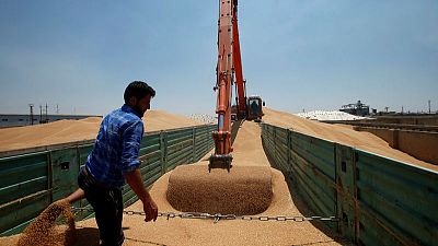 وزير التجارة: العراق يشتري قرابة أربعة ملايين طن من القمح المحلي