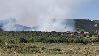 Incendio minaccia borgata nel sassarese Incendio minaccia borgata nel sassarese