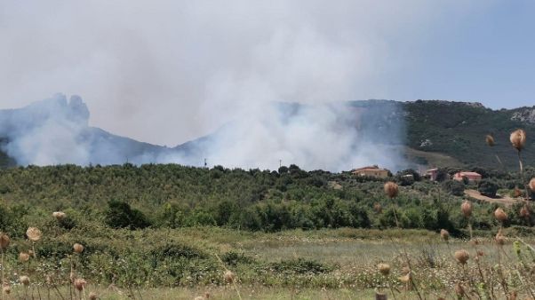 Incendio minaccia borgata nel sassarese Incendio minaccia borgata nel sassarese
