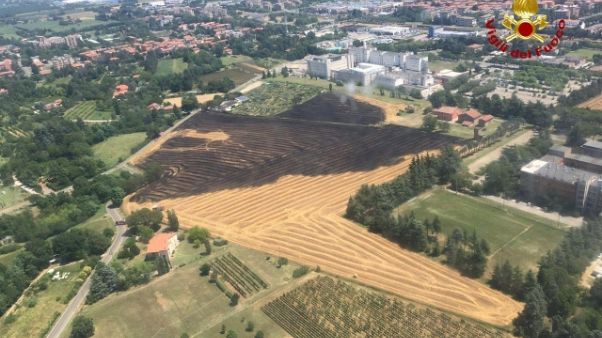 Rogo in campo vicino ospedale di Imola Rogo in campo vicino ospedale di Imola