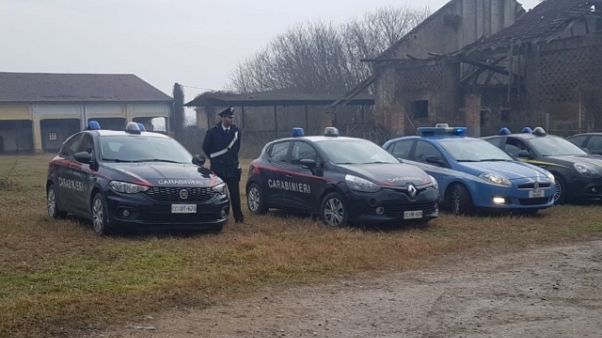 Rave party nel Mantovano, denunciati Rave party nel Mantovano, denunciati