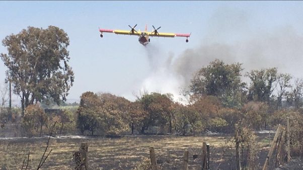 Allerta per alto rischio roghi Sardegna Allerta per alto rischio roghi Sardegna