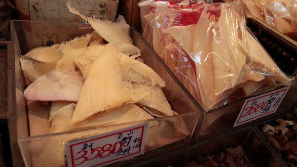 Massive shark fin haul into Hong Kong dodges global shipping bans Massive shark fin haul into Hong Kong dodges global shipping bans