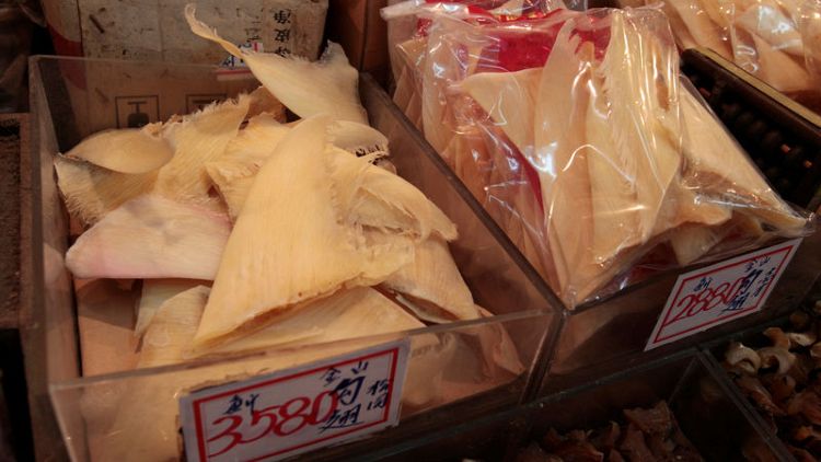 Massive shark fin haul into Hong Kong dodges global shipping bans