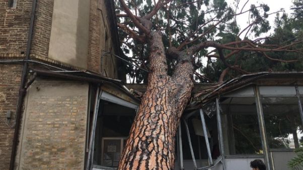 Maltempo: danneggiato ospedale di Loreto Maltempo: danneggiato ospedale di Loreto