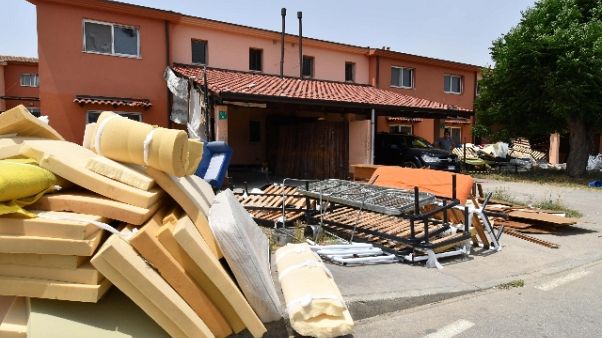 Appello Salvini,adottate cani Cara Mineo Appello Salvini,adottate cani Cara Mineo