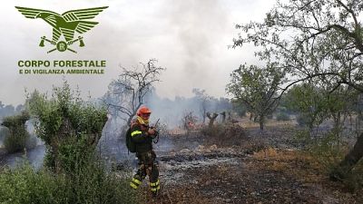 Allerta alto rischio incendi in Sardegna Allerta alto rischio incendi in Sardegna