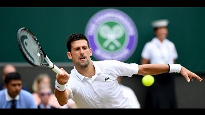 Wilmbledon: Djokovic favorito, poi Nadal Wilmbledon: Djokovic favorito, poi Nadal
