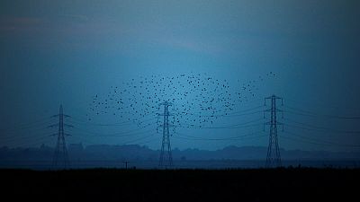 National Grid faces possible penalty on non-compliance of New York safety rules National Grid faces possible penalty on non-compliance of New York safety rules