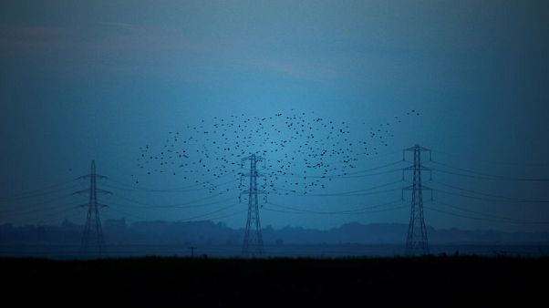 National Grid faces possible penalty on non-compliance of New York safety rules National Grid faces possible penalty on non-compliance of New York safety rules