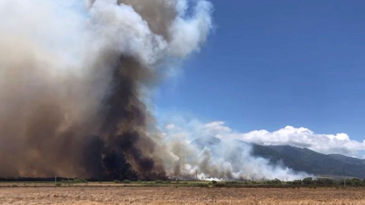 Hawaii governor declares emergency for Maui wildfires