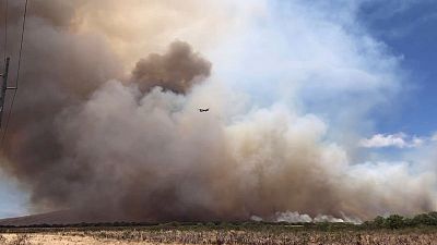 حاكم هاواي يعلن حالة الطوارئ في جزيرة ماوي بسبب حرائق الغابات