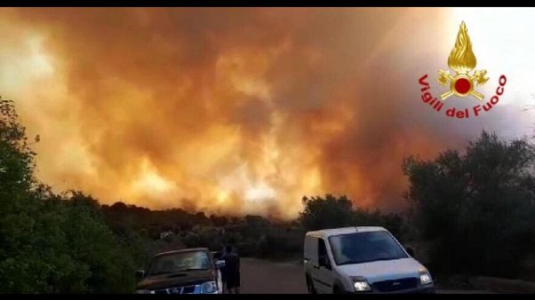 Incendio Ogliastra, aperta inchiesta Incendio Ogliastra, aperta inchiesta