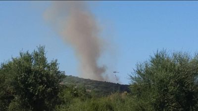 Incendi: altre fiamme in Ogliastra Incendi: altre fiamme in Ogliastra
