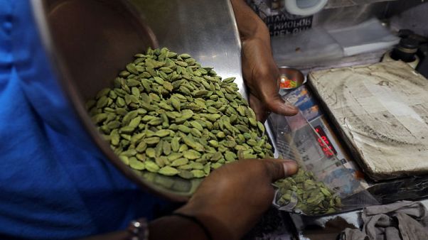 Prices of cardamom, Queen of Spices, soar as wild weather wipes Indian production Prices of cardamom, Queen of Spices, soar as wild weather wipes Indian production