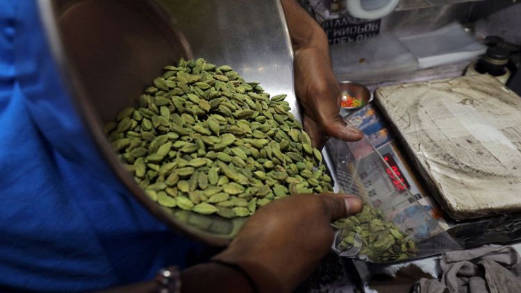 Prices of cardamom, Queen of Spices, soar as wild weather wipes Indian production