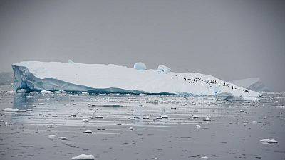 'Artificial snow' could save stricken Antarctic ice sheet - study 'Artificial snow' could save stricken Antarctic ice sheet - study