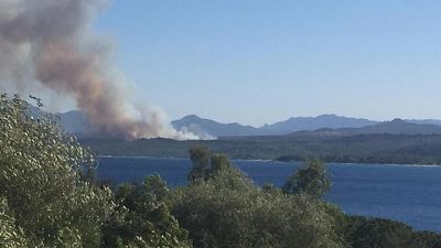 Incendi in Ogliastra, 3 inchieste aperte Incendi in Ogliastra, 3 inchieste aperte