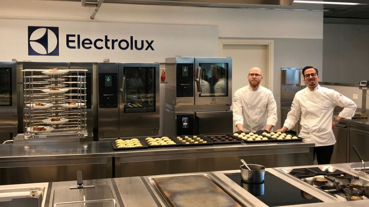 Electrolux sees lower hit from raw materials, trade tariffs in 2019