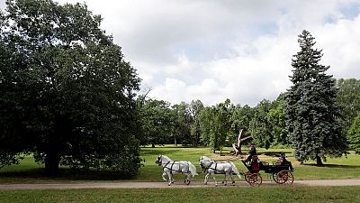 Habsburg stud farm rides to UNESCO world heritage status Habsburg stud farm rides to UNESCO world heritage status