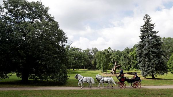Habsburg stud farm rides to UNESCO world heritage status Habsburg stud farm rides to UNESCO world heritage status