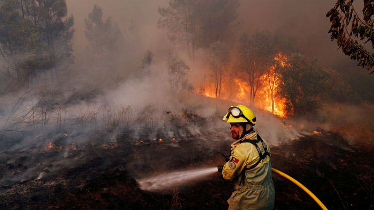 Villagers, firefighters battle huge blazes in central Portugal