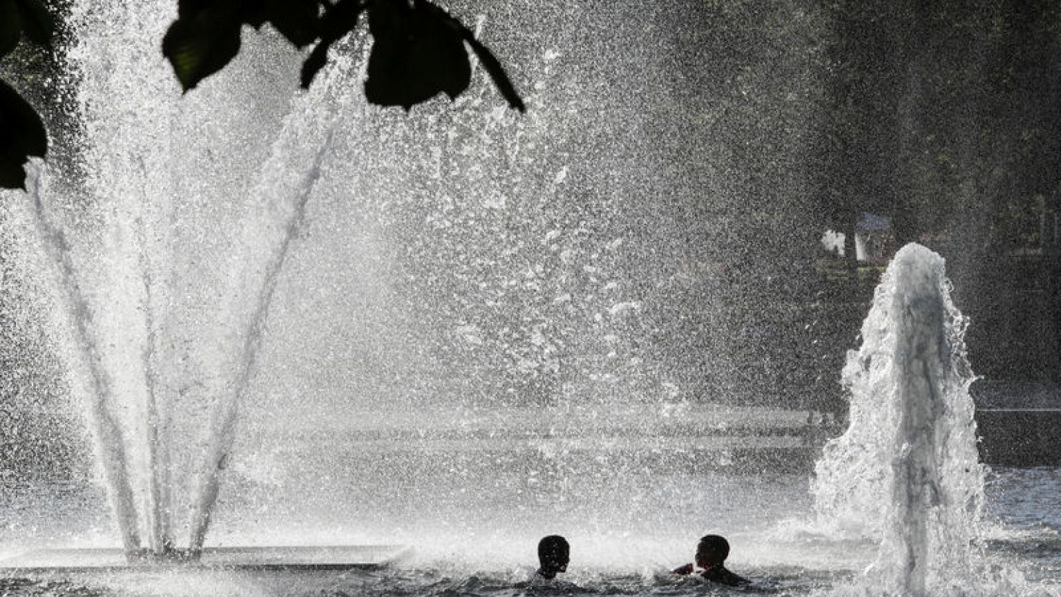 Ice cubes for tigers as heat wave smashes European records