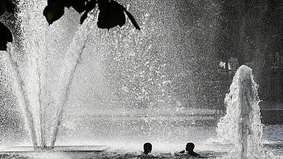 Ice cubes for tigers as heat wave smashes European records
