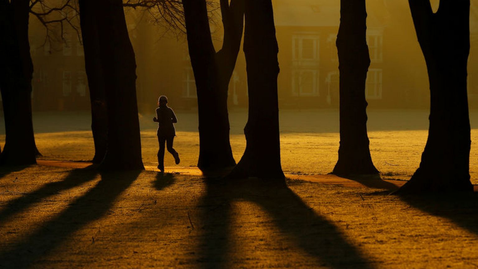 Global warming dwarfs climate variations of past 2,000 years -study