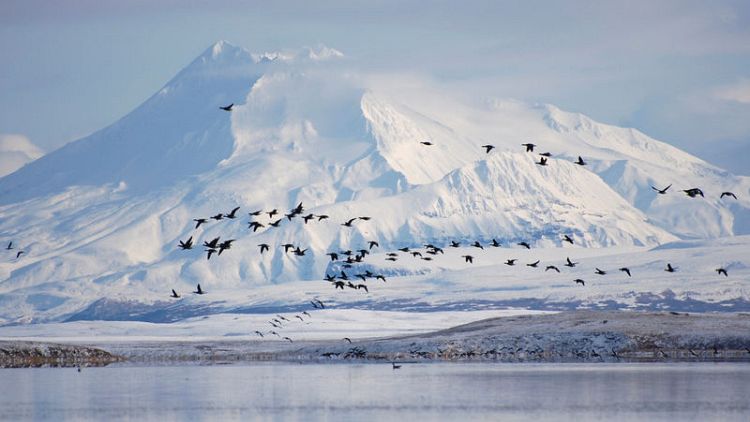 Trump administration swaps land to cut road through Alaska wildlife refuge