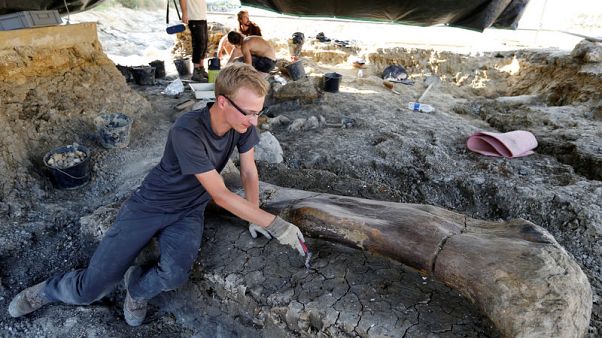 Giant dinosaur bone found in southwestern France Giant dinosaur bone found in southwestern France