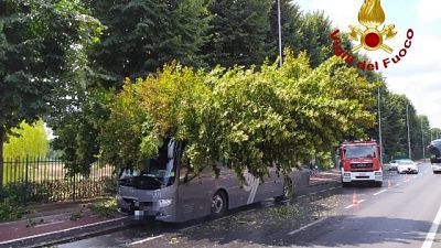 Firenze:albero cade su pullman,no feriti