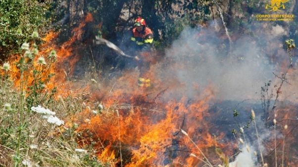 Sardegna, pericolo roghi e allerta vento Sardegna, pericolo roghi e allerta vento