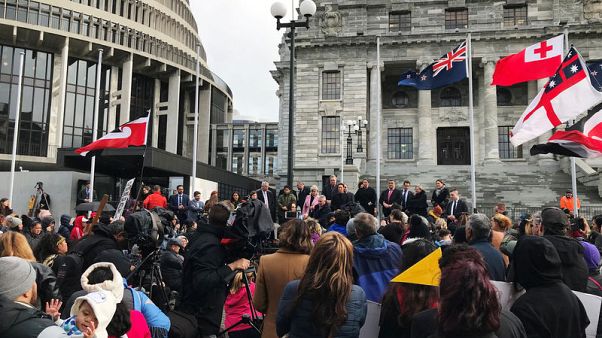 New Zealand's indigenous Maori protest over 'stolen children' New Zealand's indigenous Maori protest over 'stolen children'