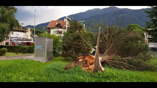 Nuovi danni per maltempo in Alto Adige Nuovi danni per maltempo in Alto Adige
