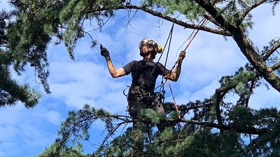 Alpinista-arboricoltore,una vita sospesa