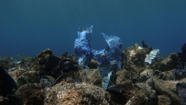 In Greece's Aegean Sea, divers find 'gulf of plastic corals'