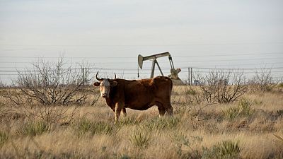 انتاج النفط الأمريكي ينخفض من مستوى قياسي إلى 12.11 مليون ب/ي في مايو