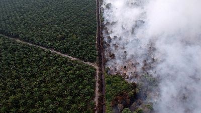إندونيسيا ترسل آلافا من قوات الأمن لمكافحة حرائق الغابات