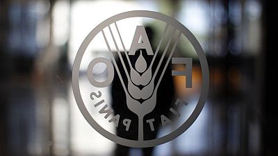 الفاو: أسعار الأغذية العالمية تتراجع في يوليو للشهر الثاني الفاو: أسعار الأغذية العالمية تتراجع في يوليو للشهر الثاني