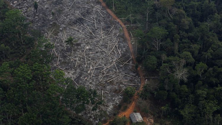 Sharp rise in Brazilian deforestation undeniable, says sacked research chief