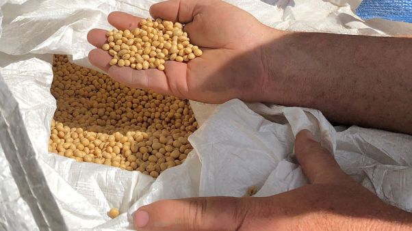 China halts purchase of U.S. farm products China halts purchase of U.S. farm products