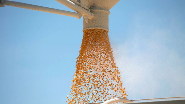 U.S. farmers suffer 'body blow' as China slams door on farm purchases U.S. farmers suffer 'body blow' as China slams door on farm purchases