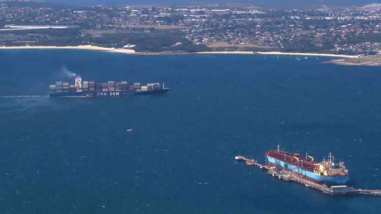 Australia's trade surplus swells to record in rare bright spot