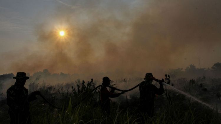 Indonesia president threatens to sack fire fighters if forest blazes not tackled