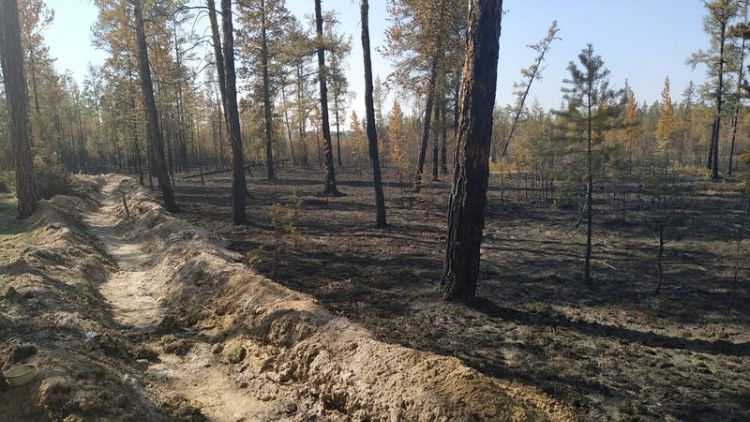 Russia says Siberian wildfires started on purpose by illegal loggers