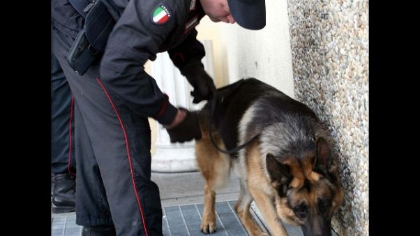 Traffico droga e conti correnti, arresti Traffico droga e conti correnti, arresti
